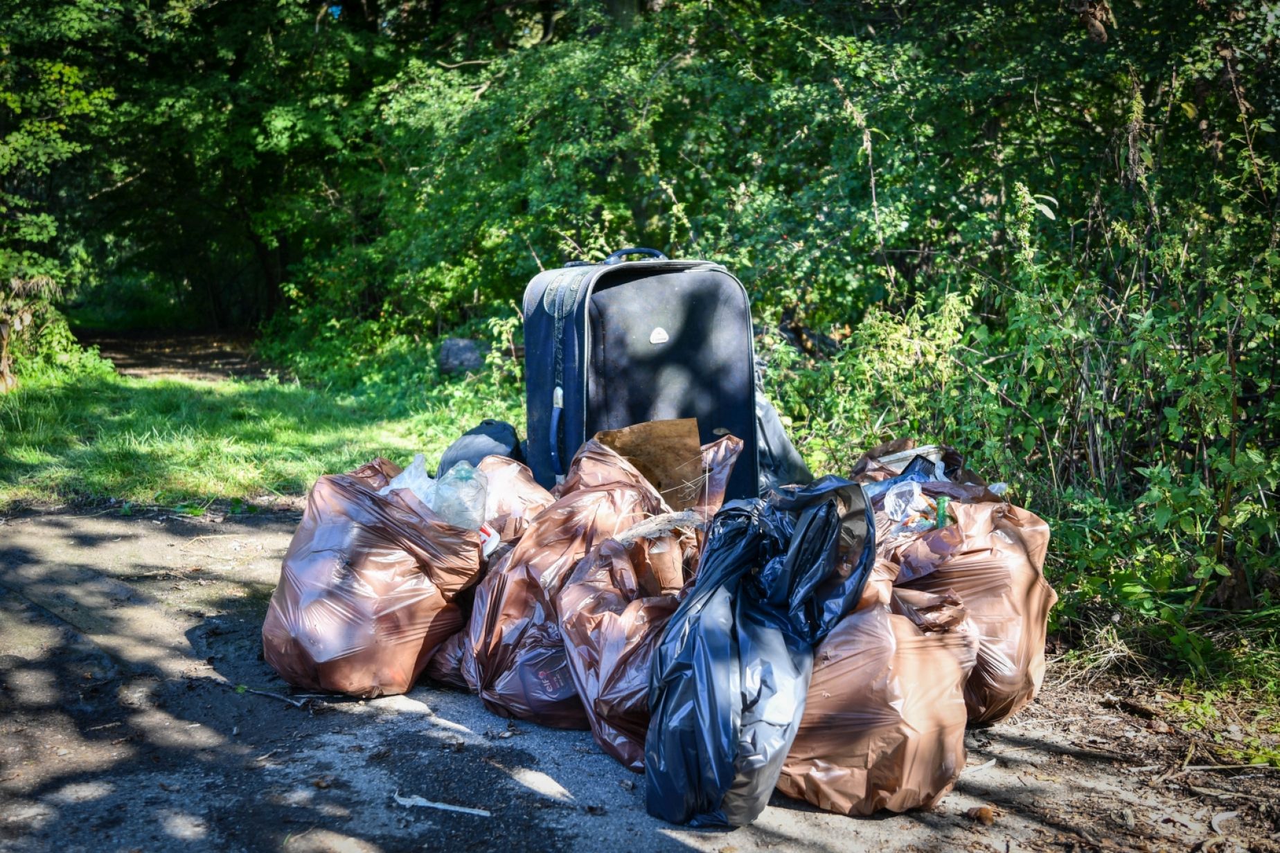 Wszystkie śmieci są nasze - 30 Akcja Sprzątania Świata