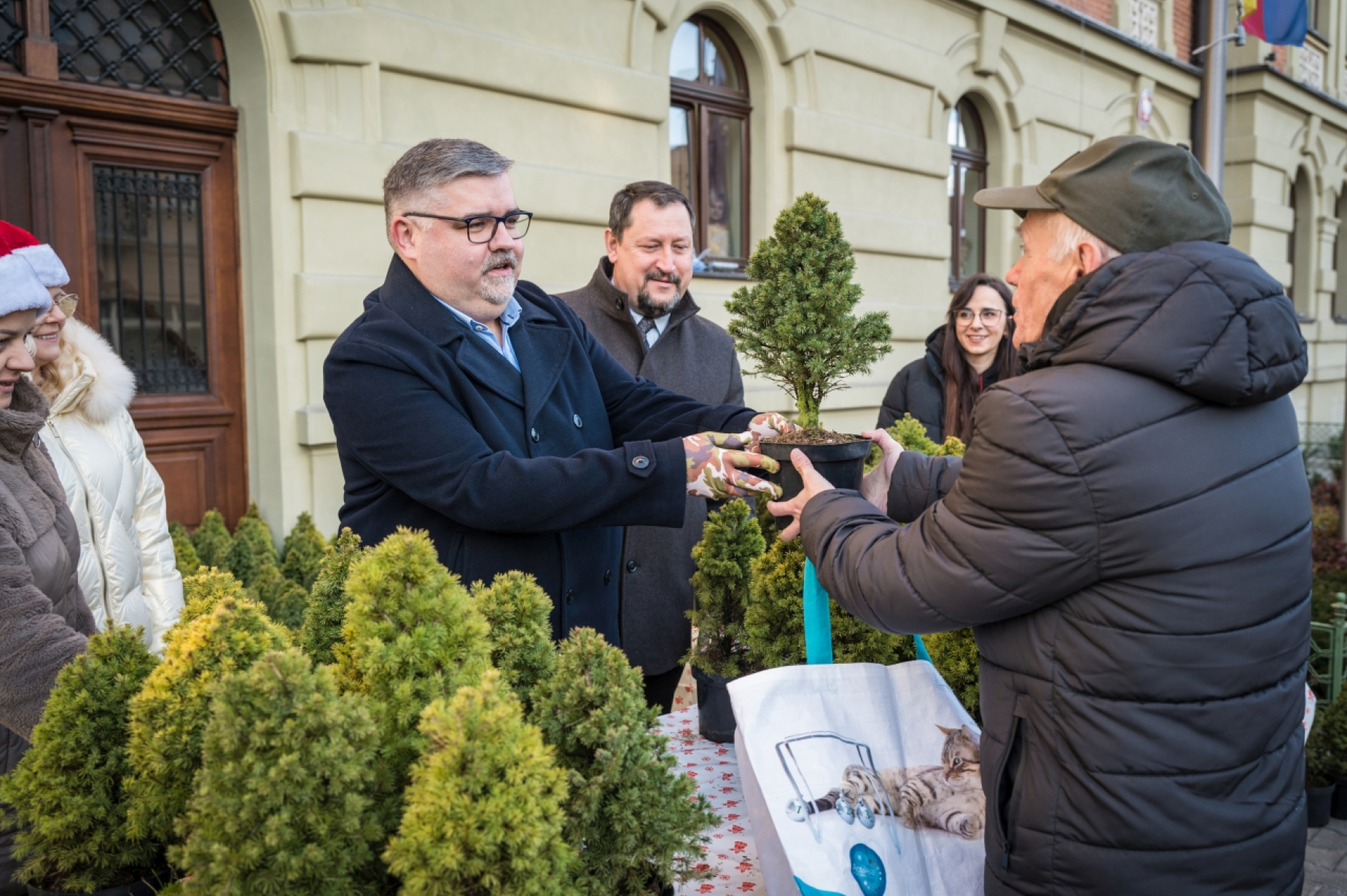 Ponad 500 naturalnych choinek za makulaturę – ekologiczna akcja starostwa