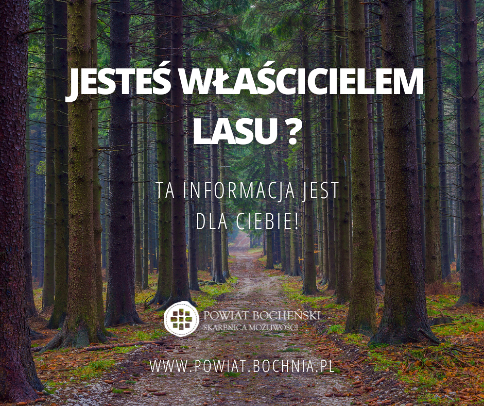 Informacja dla właścicieli lasu! 