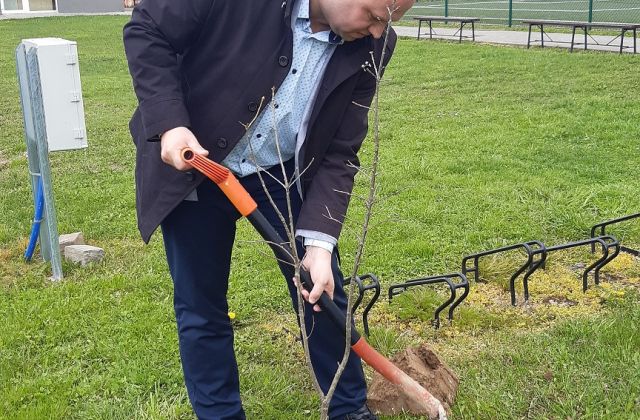 Starosta, Burmistrzowie i Wójtowie posadzili drzewo dla klimatu