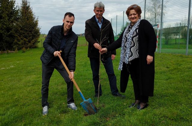 Starosta, Burmistrzowie i Wójtowie posadzili drzewo dla klimatu