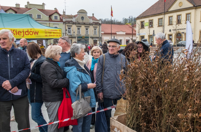 Drzewa za makulaturę - V Piknik Ekologiczny w Bochni za namiUzupełnij i zapisz enterem lub klikając w ikonkę ->