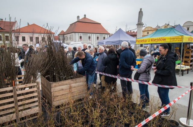 Drzewa za makulaturę - V Piknik Ekologiczny za nami