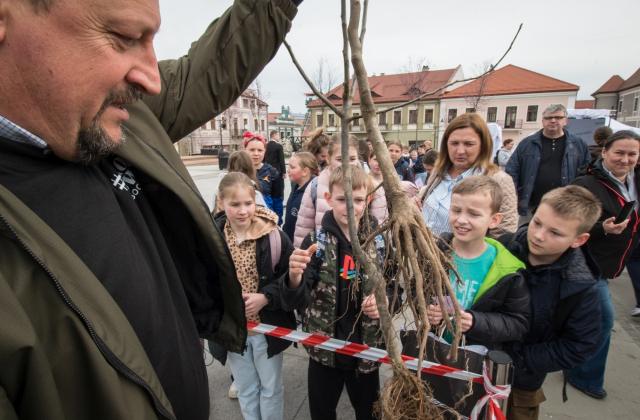 Drzewa za makulaturę - V Piknik Ekologiczny za nami