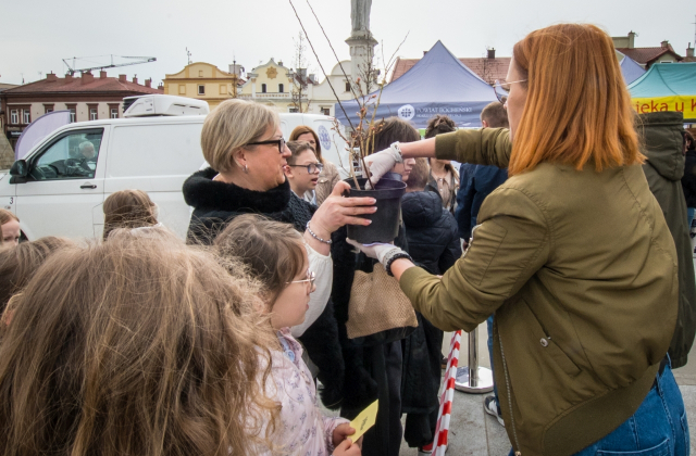 Drzewa za makulaturę - V Piknik Ekologiczny za nami