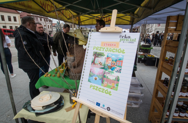 Drzewa za makulaturę - V Piknik Ekologiczny za nami