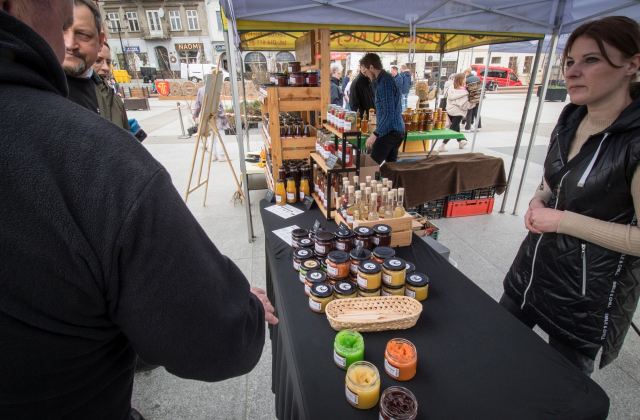 Drzewa za makulaturę - V Piknik Ekologiczny za nami