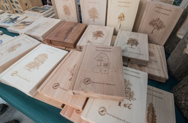 Drzewa za makulaturę - V Piknik Ekologiczny za nami