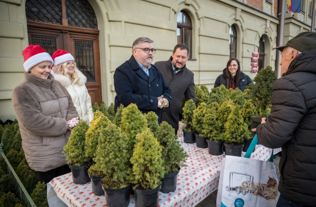 Ponad 500 naturalnych choinek za makulaturę – ekologiczna akcja starostwa