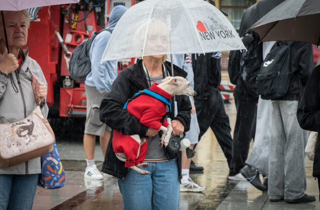 Bocheński rynek pełen mundurów. Targi pracy służb mundurowych za nami