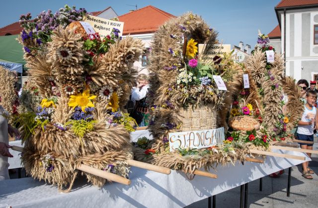 Powiatowe święto Plonów w Bochni 