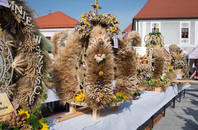 Powiatowe święto Plonów w Bochni 