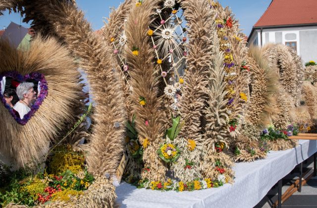 Powiatowe święto Plonów w Bochni 