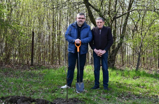 Starosta, Burmistrzowie i Wójtowie posadzili drzewo dla klimatu