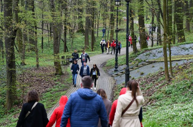 Posprzątaj z nami Małopolskę