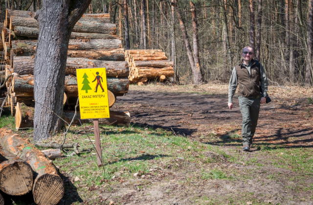 Drzewo dla klimatu