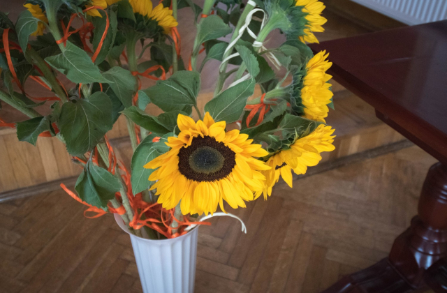 Awans zawodowy nauczycieli i nominacje dyrektorskie