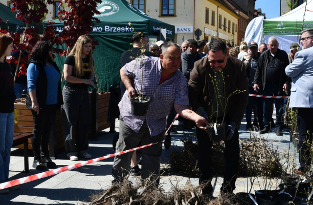 IV EKOPiknik z Powiatem 
