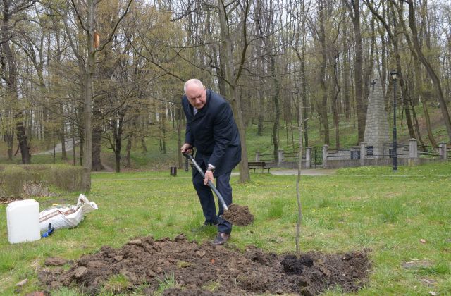 Starosta, Burmistrzowie i Wójtowie posadzili drzewo dla klimatu