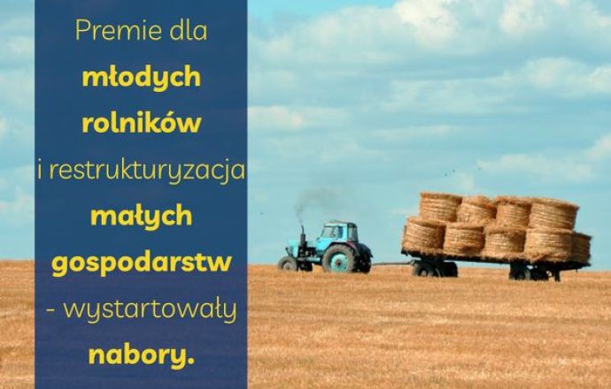 Premie dla młodych rolników i restrukturyzacja małych gospodarstw – wystartowały nabory