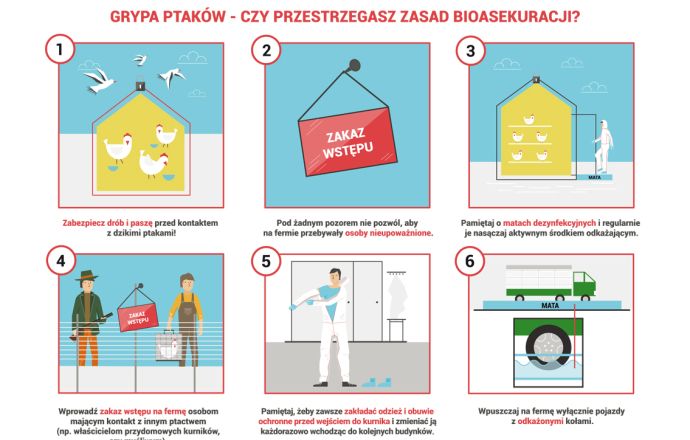 Komunikat Powiatowego Lekarza Weterynarii w Bochni dotyczący grypy ptaków 