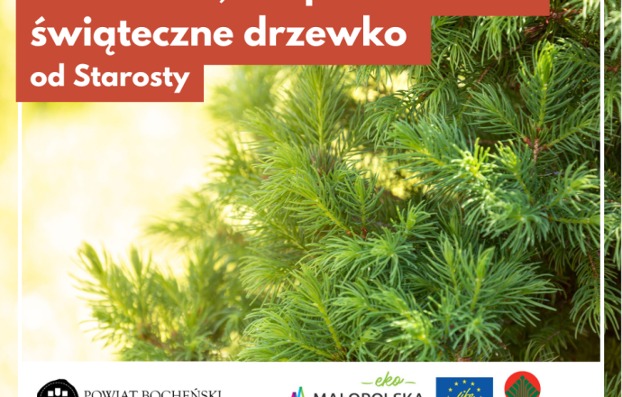 Świąteczne drzewko od Starosty